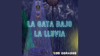 La Gata Bajo La Lluvia [upl. by Hu162]