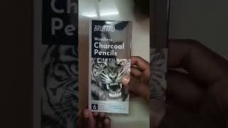 Unboxing Brustro Woodless Charcoal Pencil shorts unboxing brustro charcoal pencil flipkart [upl. by Frangos230]