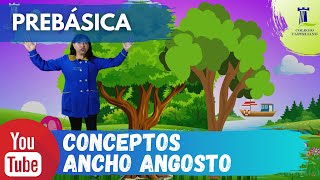 PREBÁSICA CONCEPTO ANCHO Y ANGOSTO [upl. by Annamaria]