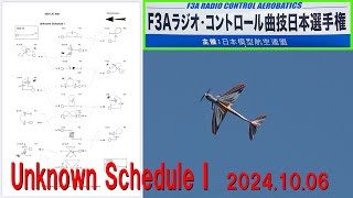 2024年度F3Aラジオコントロール曲技日本選手権アンノン1【ラジコン飛行機】 [upl. by Shultz]