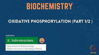 Oxidative Phosphorylation Part 12 [upl. by Olmstead218]