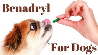 Benadryl Dosage For Dogs Chart [upl. by Ayekam]