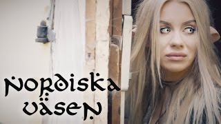 NORDISKA VÄSEN ✖ Tutorial Troll [upl. by Kcirddahc]