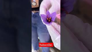 Saffron ki kheti saffron india indian indianfood [upl. by Velda906]