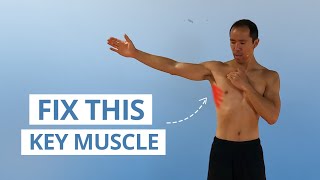 5 Unique Serratus Anterior Exercises for Strong amp Stable Shoulders [upl. by Ynaffets]