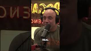 The Comedy Gold of Theo Von Highlights from Joe Rogan [upl. by Clower588]