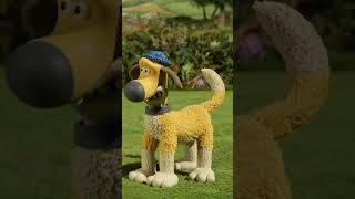 Flock Fun🐑🐑🐑 shorts shaunthesheep cartoonforkids [upl. by Feer591]