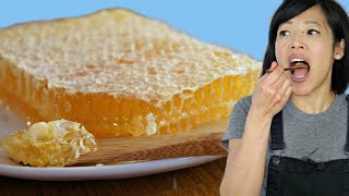 HONEYCOMB  Honey amp Beeswax  Taste Test  The purest form of honey [upl. by Shull228]