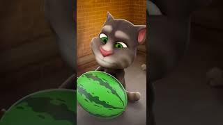 Talking Tom live 11 [upl. by Ketchan942]