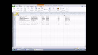 Microsoft Project  Custom Fields 2 of 4 Calculated Fields [upl. by Finnegan]