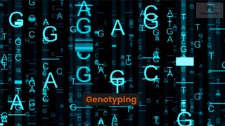 Genotyping [upl. by Neirad]