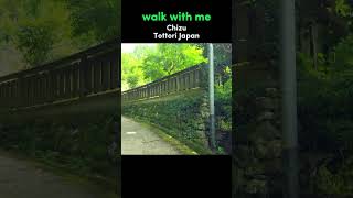 Walk With Me in Chizu  Tottori Walking Tour [upl. by Wettam934]