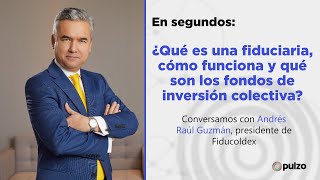 ¿ qué es una fiduciaria cómo funciona y qué son los fondos de inversión colectiva  Pulzo [upl. by Onahpets]