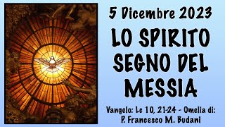 Omelia Lc 10 2124  LO SPIRITO SEGNO DEL MESSIA  p Francesco M Budani FI [upl. by Ajnos]