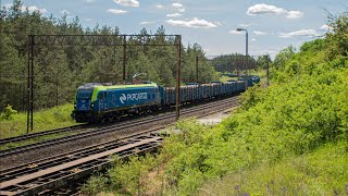 ET43010 z drewnem wjeżdża na stację Terespol Pomorski [upl. by Kabab]