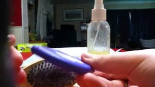 Olive oil for Dogs dry skin Concoxion [upl. by Dnalhsa377]