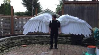 Articulated Pneumatic Wings [upl. by Ilatfen]