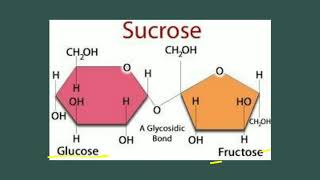 Oligosaccharides  Carbohydrates  Biochemistry [upl. by Kcirdor]