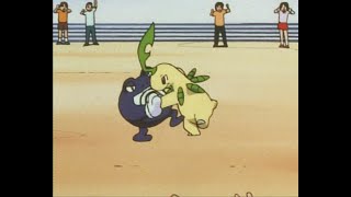 Pokémon Battle Bayleef vs Poliwrath [upl. by Spector]