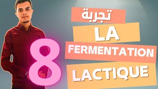 La fermentation lactique شرح مبسط لتجربة  تحضير المختبرات المدرسية [upl. by Avram]