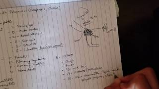 Granulomatosis with Polyangiitis Mnemonic [upl. by Anilec862]