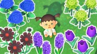 How Fast Can I Get EVERY FLOWER in Animal Crossing New Horizons [upl. by Ericksen]