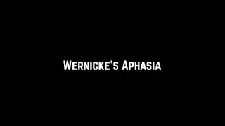 Brocas Aphasia vs Wernickes Aphasia [upl. by Andriana]