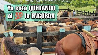 PESAMOS y vacunamos los BECERROS de ENGORDA🐂🐂🐎 [upl. by Nat129]