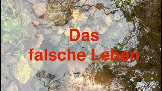 DAS FALSCHE LEBEN [upl. by Faber]