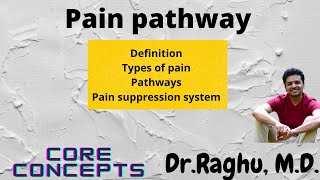 Pain pathway  Pain physiology  Pain suppression system  Gate control theory  Neurophysiology [upl. by Nylra]