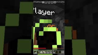 My brothers system  MINECRAFT [upl. by Tterrag]