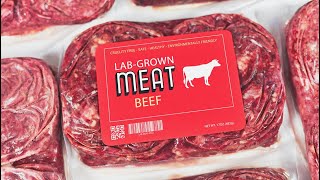 The US amp EU are set to BAN lab grown meatIt’s the Planet Stupid w Belinda Waymouth [upl. by Ahsienet]