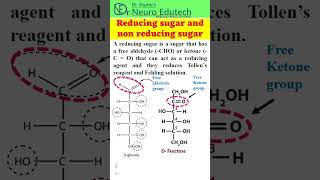 Reducing and Nonreducing sugarshorts shortsvideo youtubeshorts science education knowledge [upl. by Aleiram334]