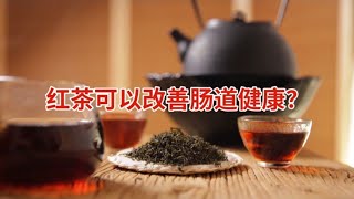 長期喝紅茶可以保持腸道健康？ [upl. by Yboj]