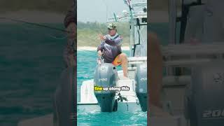 The Thrill of Catching a Wild Marlin Fish  Epic Wild Marlin Catch  Step Outside with Paul Burt [upl. by Notse484]