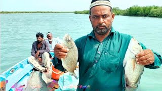 Fishing Adventure near Mangrove of Rehri [upl. by Rossner553]