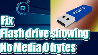 How to Fix Flash Drive Showing no media 0 Bytes Windows 11 [upl. by Kred603]