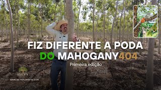 FIZ DIFERENTE A PODA 2024 DO MAHOGANY404 1 EDIÇÃO [upl. by Ordnassela]