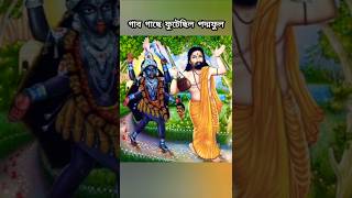 সাধক রামপ্রসাদ সেনের সঙ্গে মা কালীর একটি লীলা কাহিনী  গাব গাছে ধরেছিল পদ্মফুল🌺🙏 shorts kali yt [upl. by Marlette]