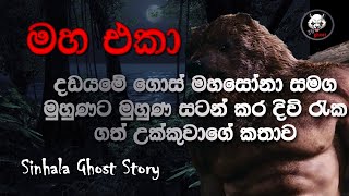 Holman Katha 👽මහ එකා Sinhala Ghost Story Episode 42  3N Ghost [upl. by Allit]