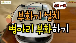 “부화기로 병아리 부화하기” 꼬꼬r16 부화기 가을병아리부화기 [upl. by Gorga733]