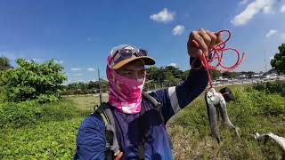 Tanggal ang Kati sa Rattler Sabiki I Coastal Road Fishing [upl. by Earle188]