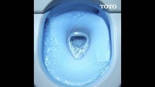 Toto  Washlet Toilet [upl. by Auqinahc742]