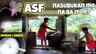 Mag disinfect po tayo sa kulungan ng ating baboy mga baboy para iwas sa sakit at ASF [upl. by Alaekim]