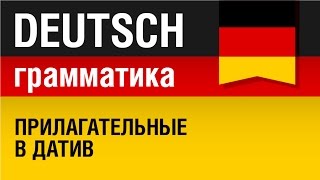 Прилагательные в датив Adjektive im Dativ Немецкая грамматика Урок 1431 Елена Шипилова [upl. by Lavinia]