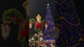 Magic Kingdom’s Christmas Tree at Nighttime disney [upl. by Llekim446]