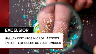 Hallan microplásticos cancerígenos en los testículos de los hombres [upl. by Aleka]