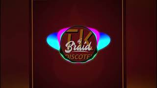 Mix Retro 2024 DJ BRAID X TK Discotek [upl. by Ilil]