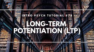 LongTerm Potentiation LTP Intro Psych Tutorial 78 [upl. by Anoynek582]