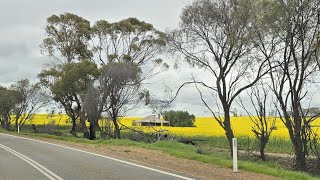 M8’s go to Wyalkatchem Rodeo and the Wheatbelt EP 23 [upl. by Puiia]